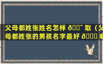 父母都姓张姓名怎样 🐯 取（父母都姓张的男孩名字最好 🕊 听）